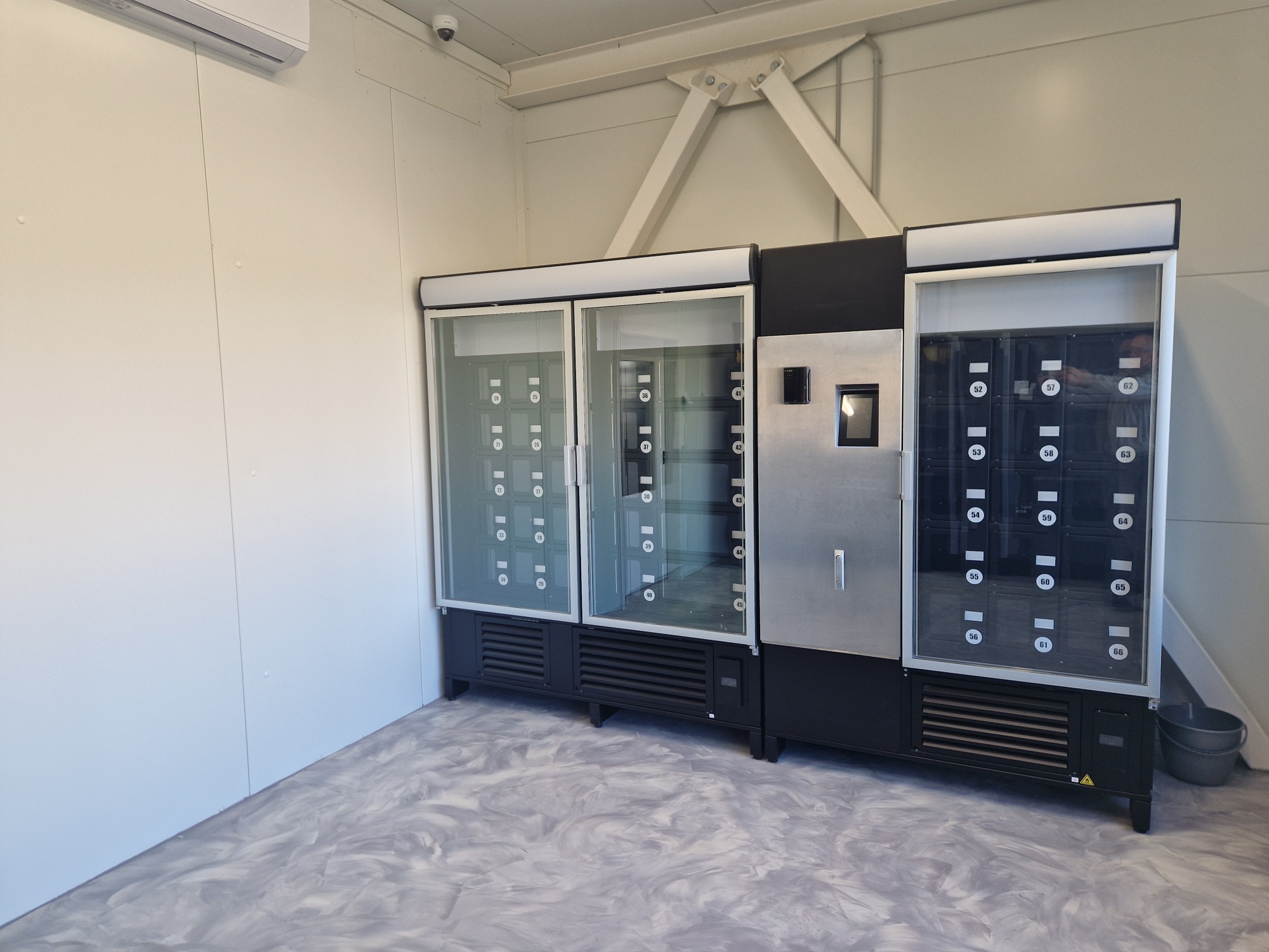 20250114_115637_resized